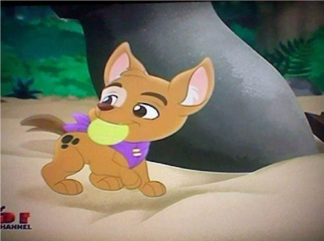 File:Patch the Pirate Pup17.png