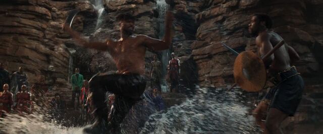 File:Black Panther (film) 42.jpg