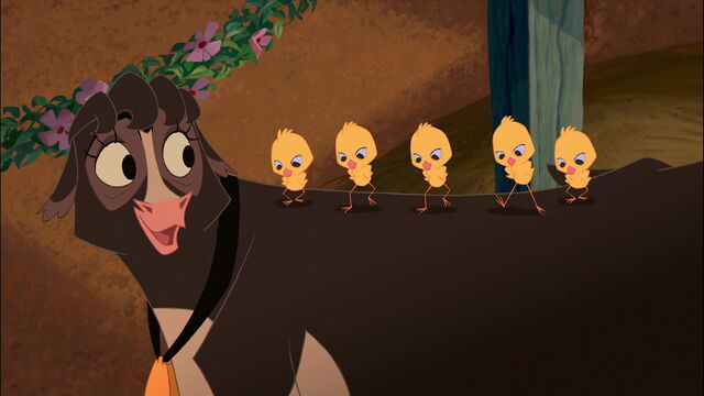 File:Calloway 5 chicks.jpg