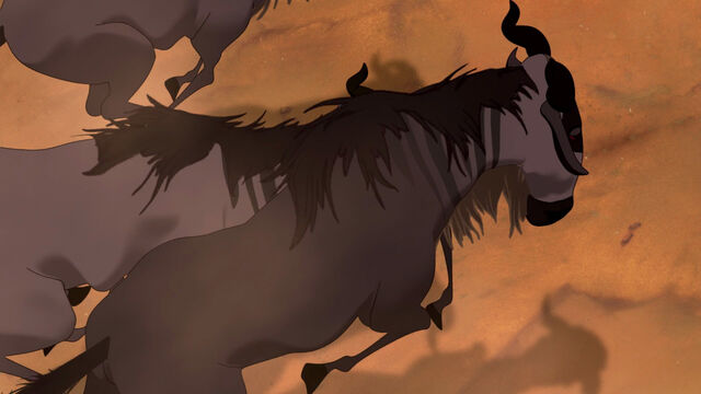 File:Lion-king-disneyscreencaps com-3928.jpg