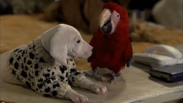 File:102-dalmatians-disneyscreencaps com-4762.jpg