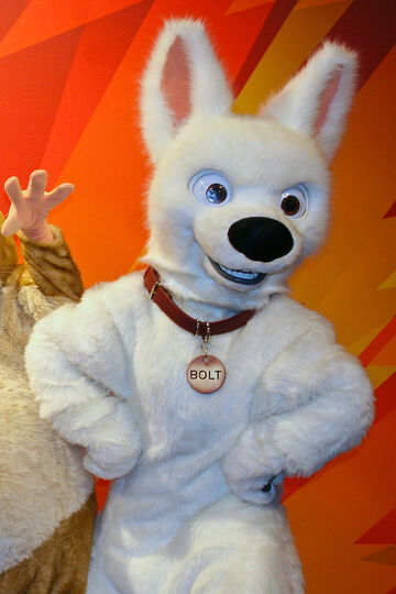 File:Bolt WDW.jpg