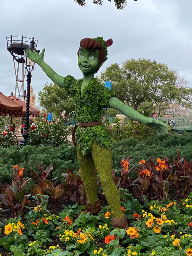 File:Peter Pan Topiary.jpg
