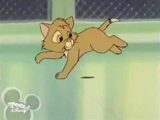 File:Spunky29.jpg