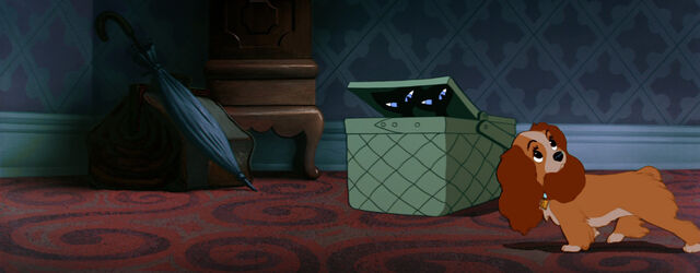 File:Lady-tramp-disneyscreencaps.com-3672.jpg