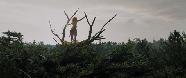 File:Pete's Dragon 2016 Shot1.png