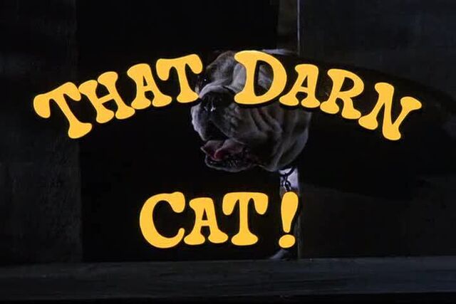 File:That Darn Cat Title.jpg