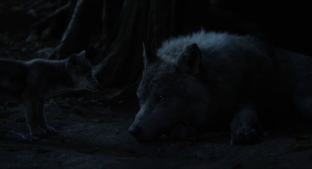 File:Jungle-book-2016-disneyscreencaps.com-5434.jpg