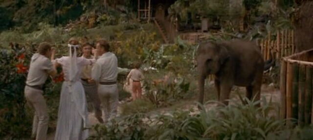 File:Swiss-family-robinson-disneyscreencaps.com-3923.jpg