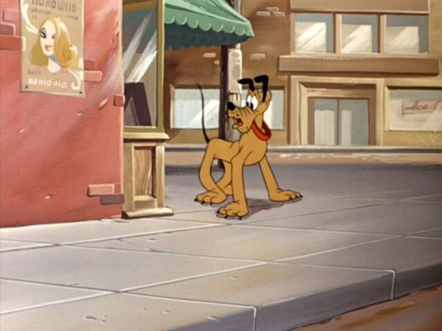 File:Tumblr nkpzr17AzG1qhcrb0o1 1280.jpg