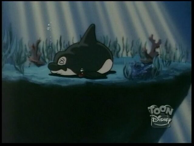 File:Whale109.jpg