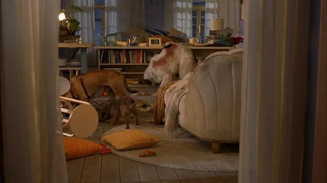 File:102-dalmatians-disneyscreencaps com-7720.jpg