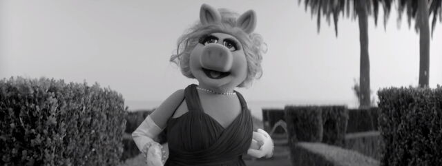 File:Moi video 04.jpg