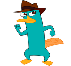 Perry el Ornitorrinco | Disney Wiki | Fandom powered by Wikia