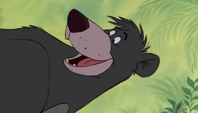 File:Baloo Asking Mowgli.png
