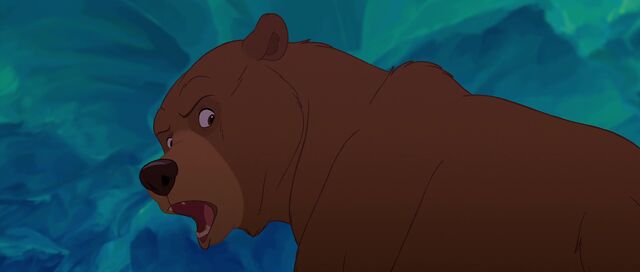 File:Bear 5.jpg