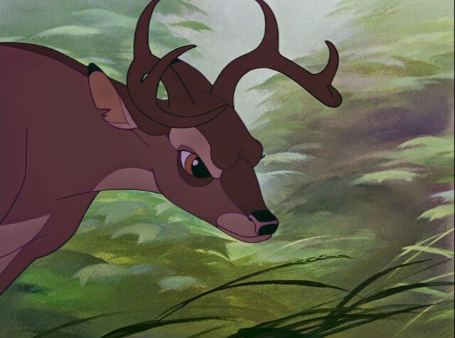 File:Bambi-disneyscreencaps.com-6140.jpg