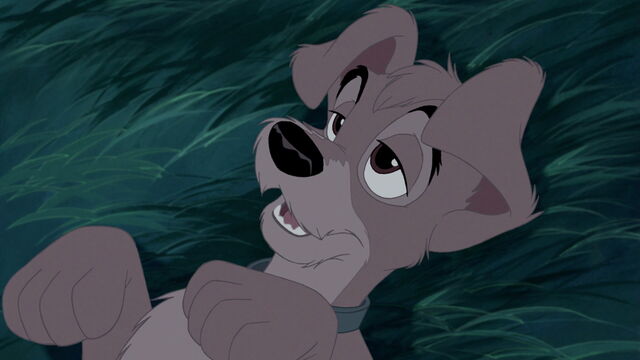 File:Lady-tramp-2-disneyscreencaps.com-4541.jpg
