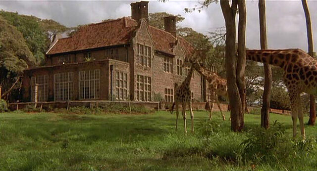 File:Mighty-joe-young-disneyscreencaps.com-3800.jpg