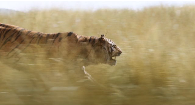 File:Jungle Book 2016 40.png