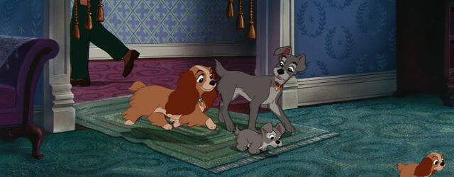 File:Lady-tramp-disneyscreencaps.com-8595.jpg
