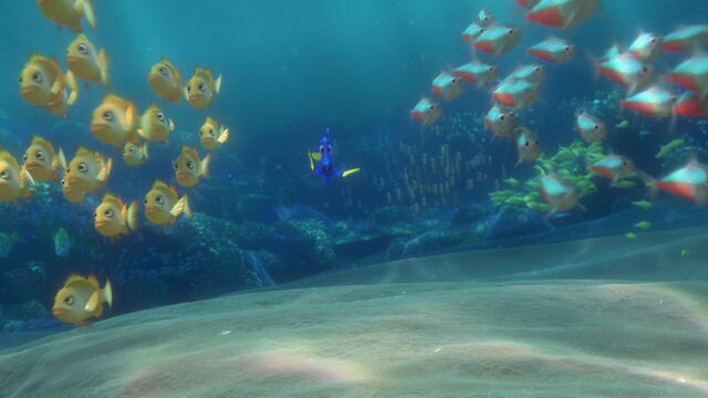 File:Finding-dory-disneyscreencaps.com-589.jpg