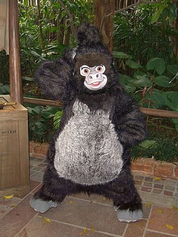 File:Terk HKDL.jpg