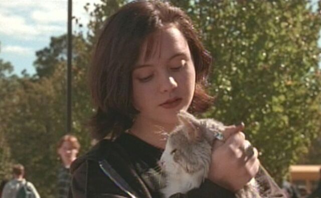 File:Thatdarncat9701.jpg