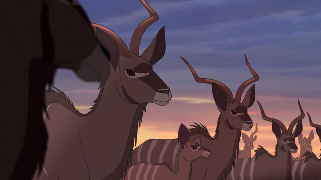 File:Tragelaphus Strepsiceros.jpg