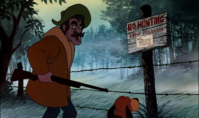 File:Fox-and-the-hound-disneyscreencaps.com-7800.jpg