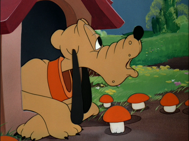 File:Tumblr m2lu95gcLP1r3jmn6o1 1280.png