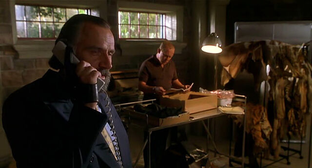 File:Mighty-joe-young-disneyscreencaps.com-3919.jpg