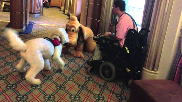 File:Playdate with pluto.jpg
