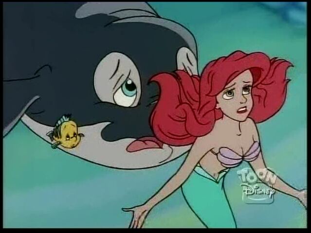 File:Whale89.jpg