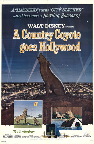 File:1965-coyote-1.jpg