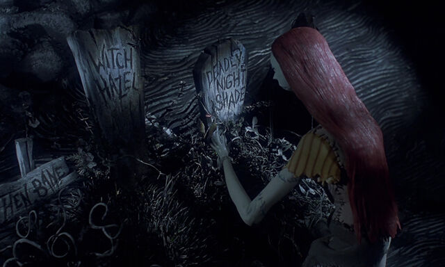 File:Deadly Night Shade Plants.jpg