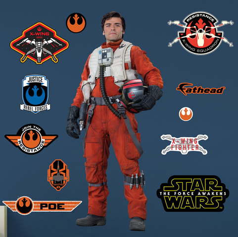 File:Poe Fathead.png