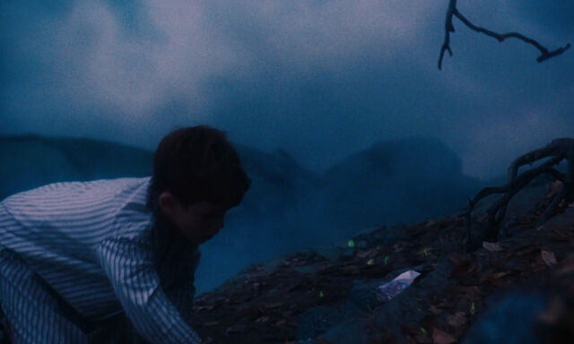 File:James-giant-peach-disneyscreencaps com-1529.jpg