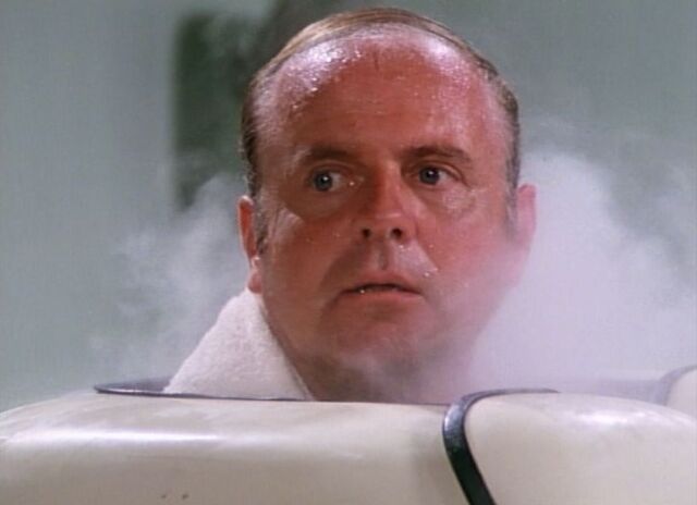 File:Dick Van Patten 4.jpeg