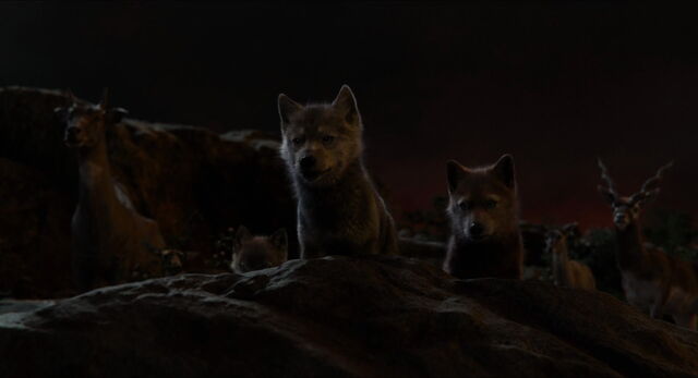 File:Jungle-book-2016-disneyscreencaps.com-9912.jpg