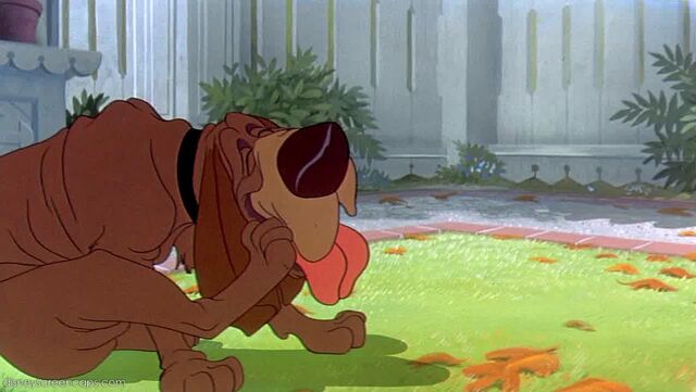 File:Tramp-disneyscreencaps com-2449.jpg