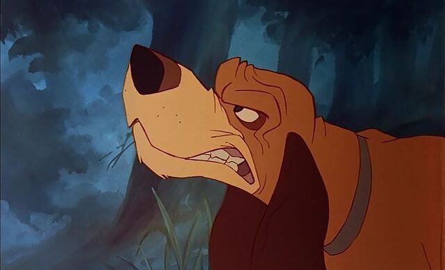 File:Copper Growling.jpg