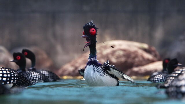 File:Finding-dory-disneyscreencaps com-4064.jpg