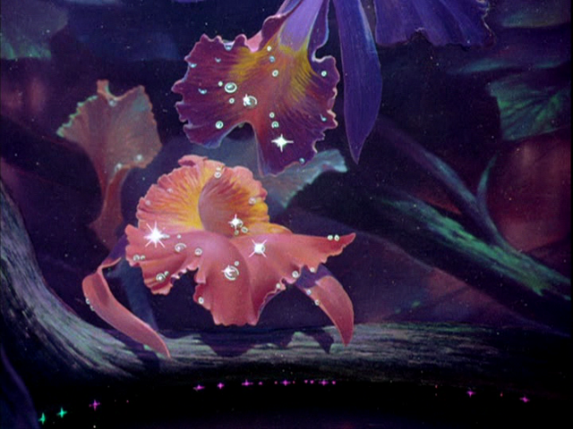 File:Tumblr n7pmzizRGq1r3jmn6o1 1280.png