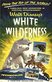 White Wilderness.jpg