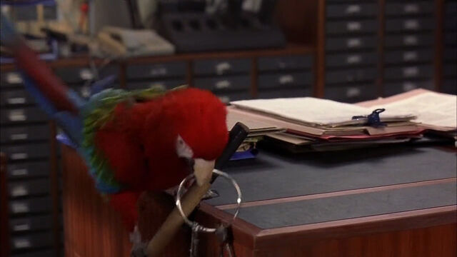 File:102-dalmatians-disneyscreencaps com-7529.jpg