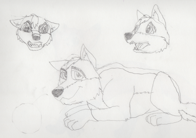 File:Drea Sketches.png