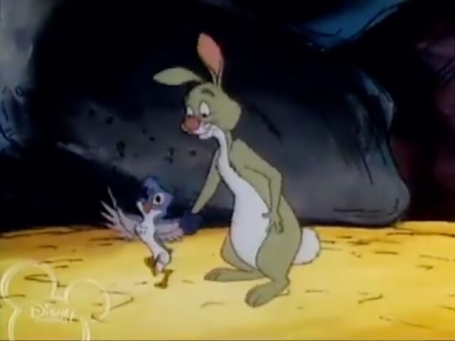 File:Adult Kessie Rabbit joining.jpg