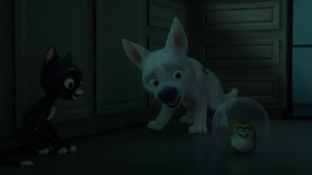 File:Vlcsnap-2015-08-23-17h42m50s848.png