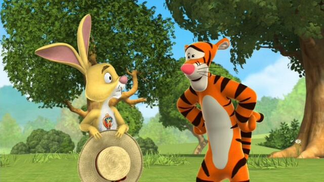 File:05 Rabbit, Unelected.jpg